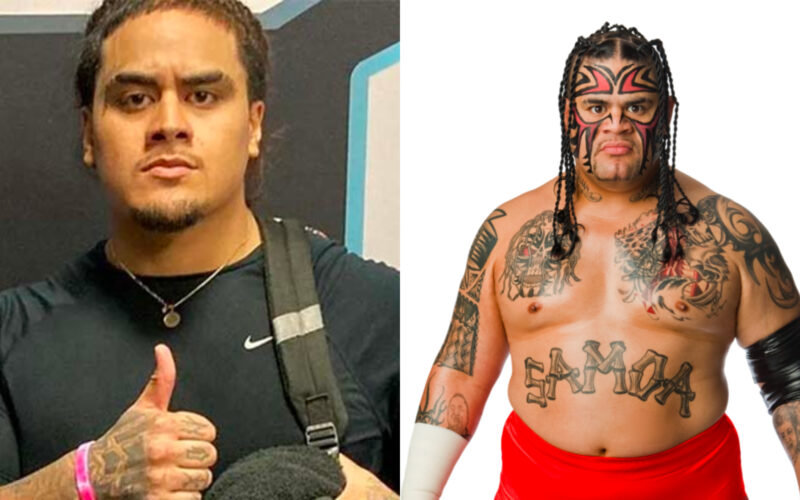 Zilla Fatu 800x500 1