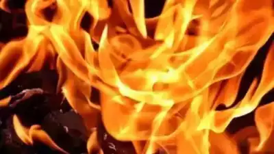 fire