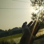 Avatar of Minzah Mehraj