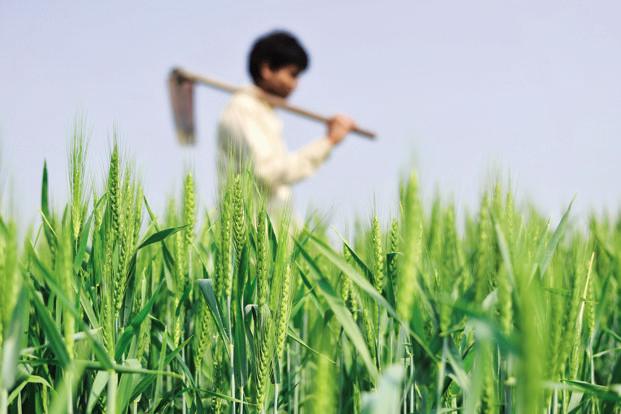 Agriculture