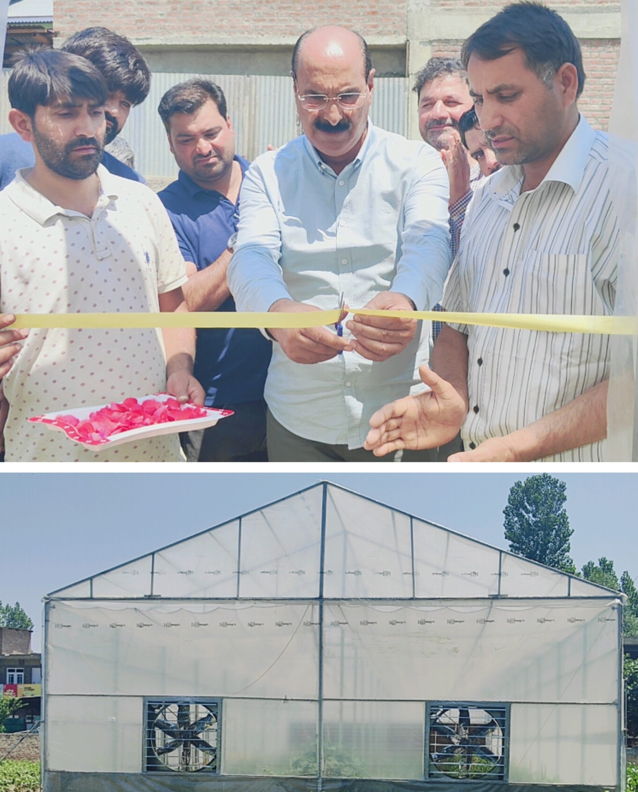 Director Agriculture Kashmir visits Pulwama scaled