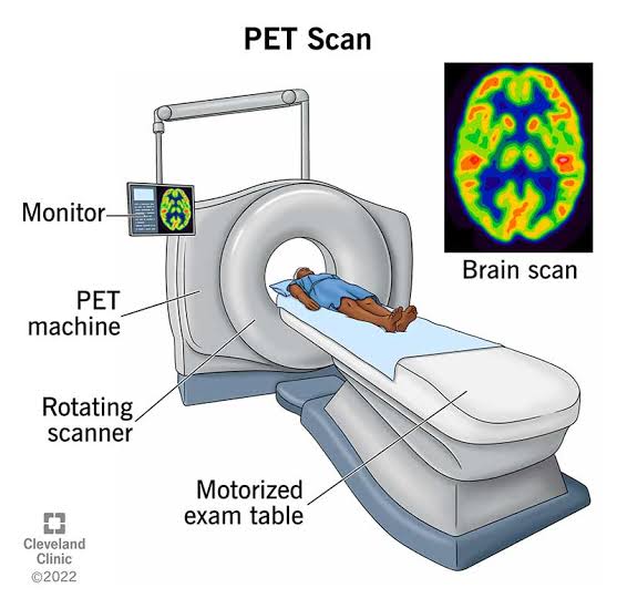 pet