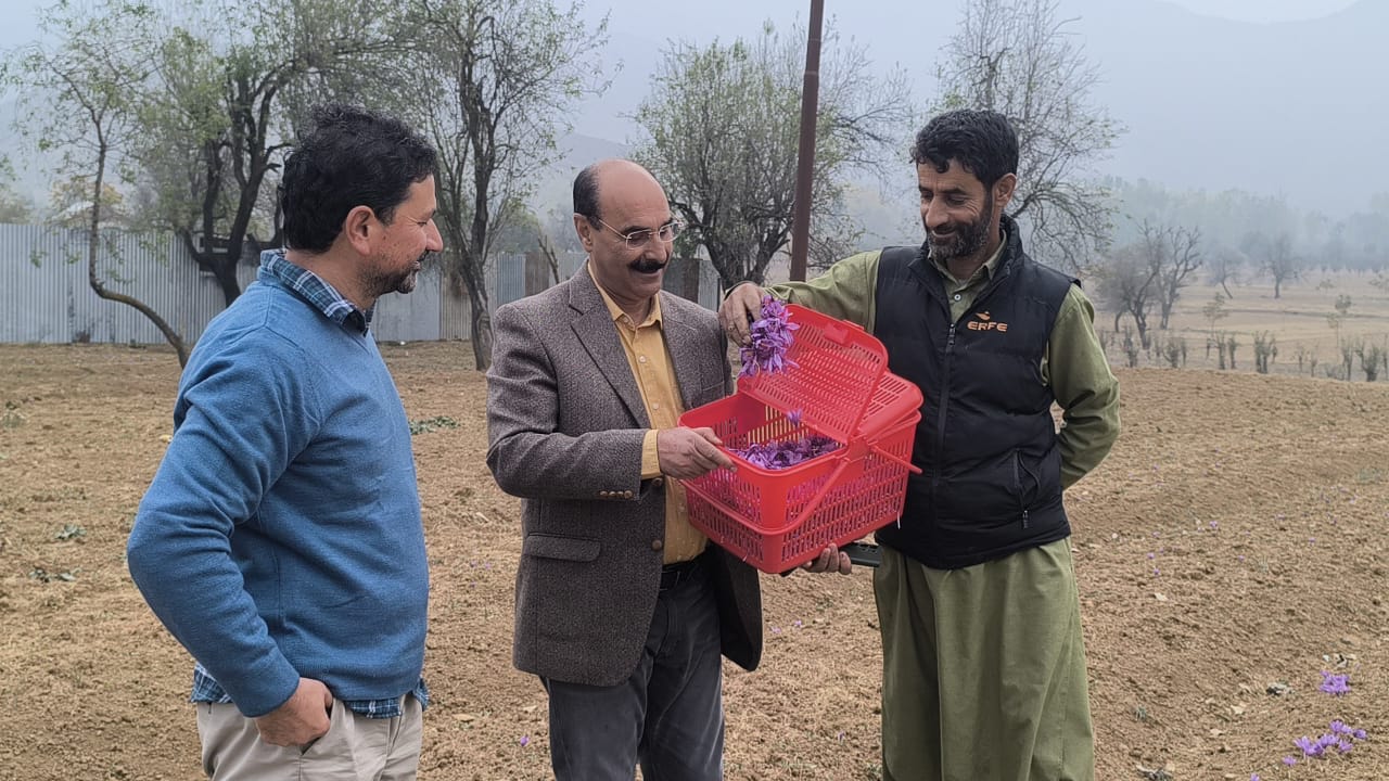 Director Agriculture Kashmir