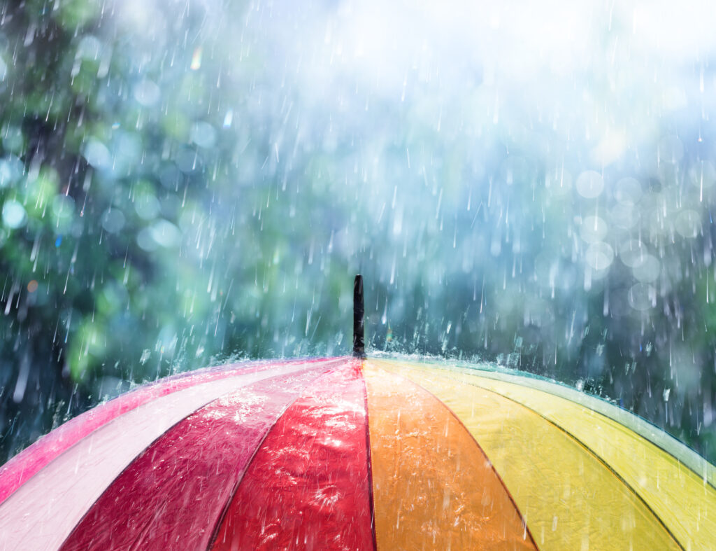 Year 2025 begins with 59% deficit rainfall in J&K — The Kashmir Monitor