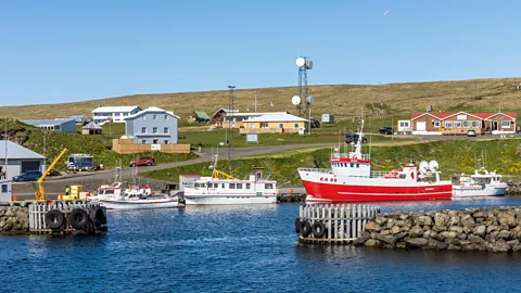 Grímsey: Arctic Island Home to 20 People and a Million Birds 3 Alamy Only 20 people live on Grímsey year-round, but it's a very tight-knit community (Credit: Alamy)