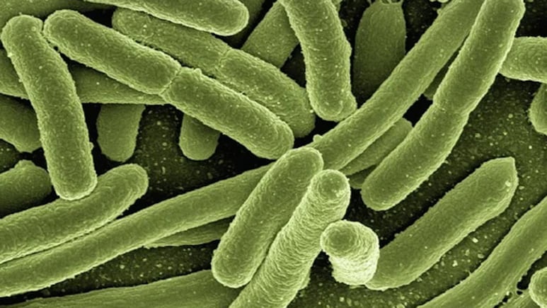 h2ihbnsg virus