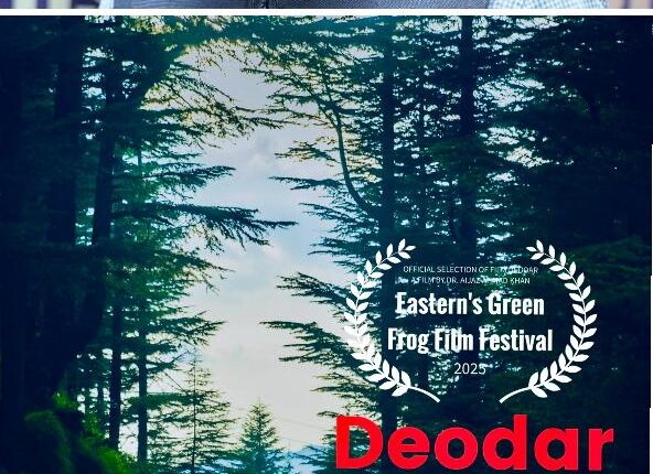 deodar