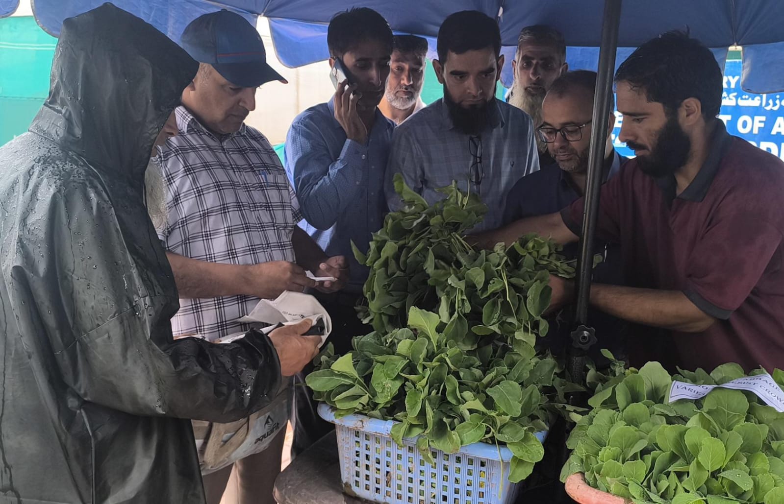 Director Agri. launches vegetable seedling distribution drive at Kitchen Garden Lalmandi Srinagar 1