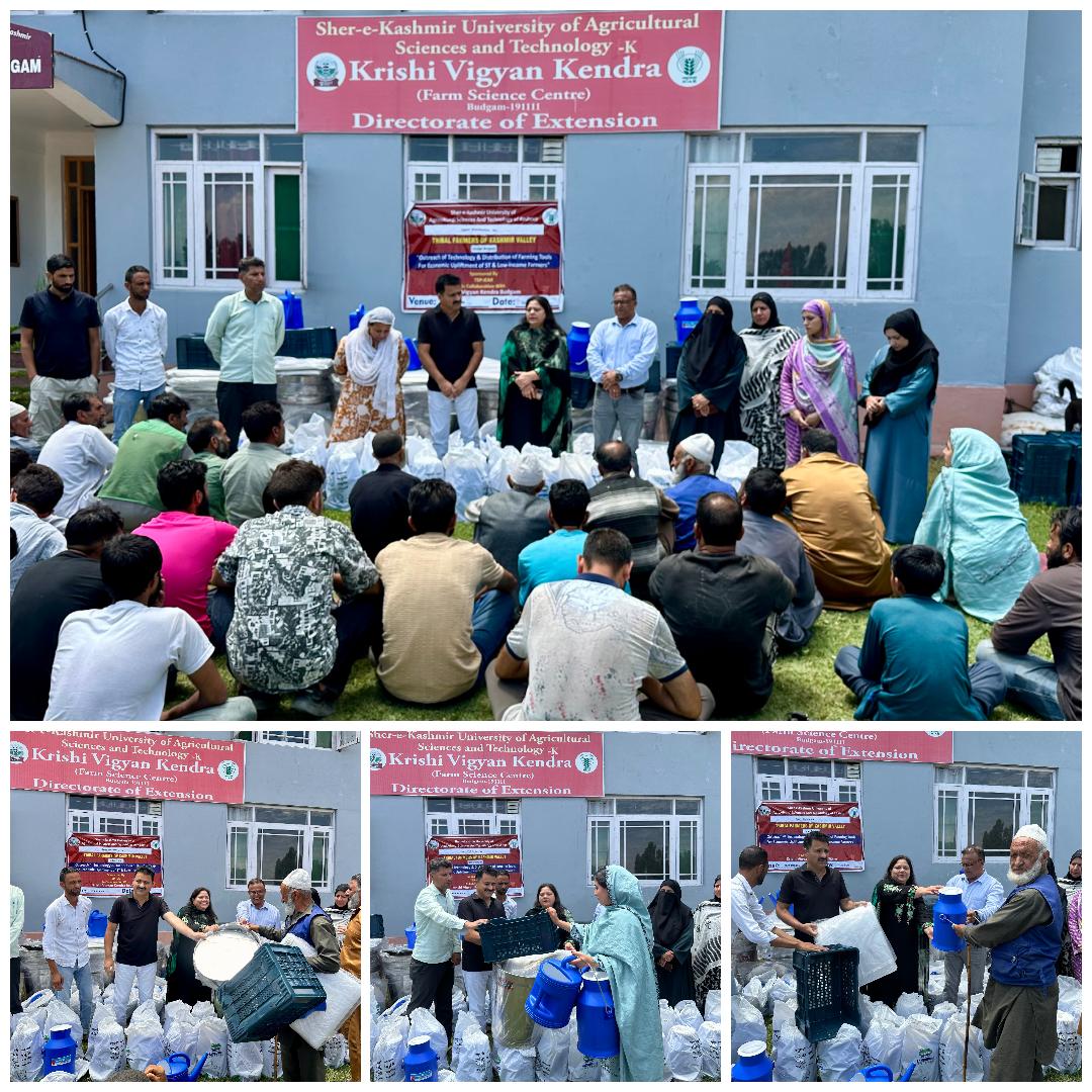 SKUAST K KVK Budgam organize Input distribution programme under ICAR TSP
