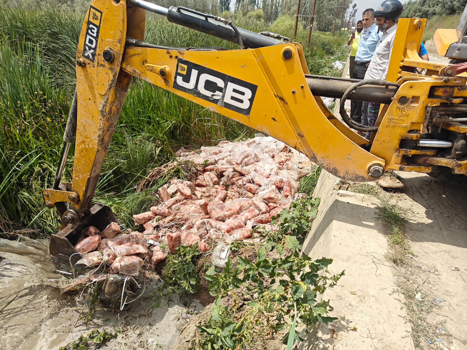 WhatsApp Image 2025 08 07 at 7.15.56 PM