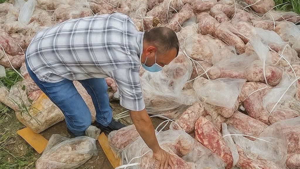 deccanherald 2025 08 08 ljnajz51 meat