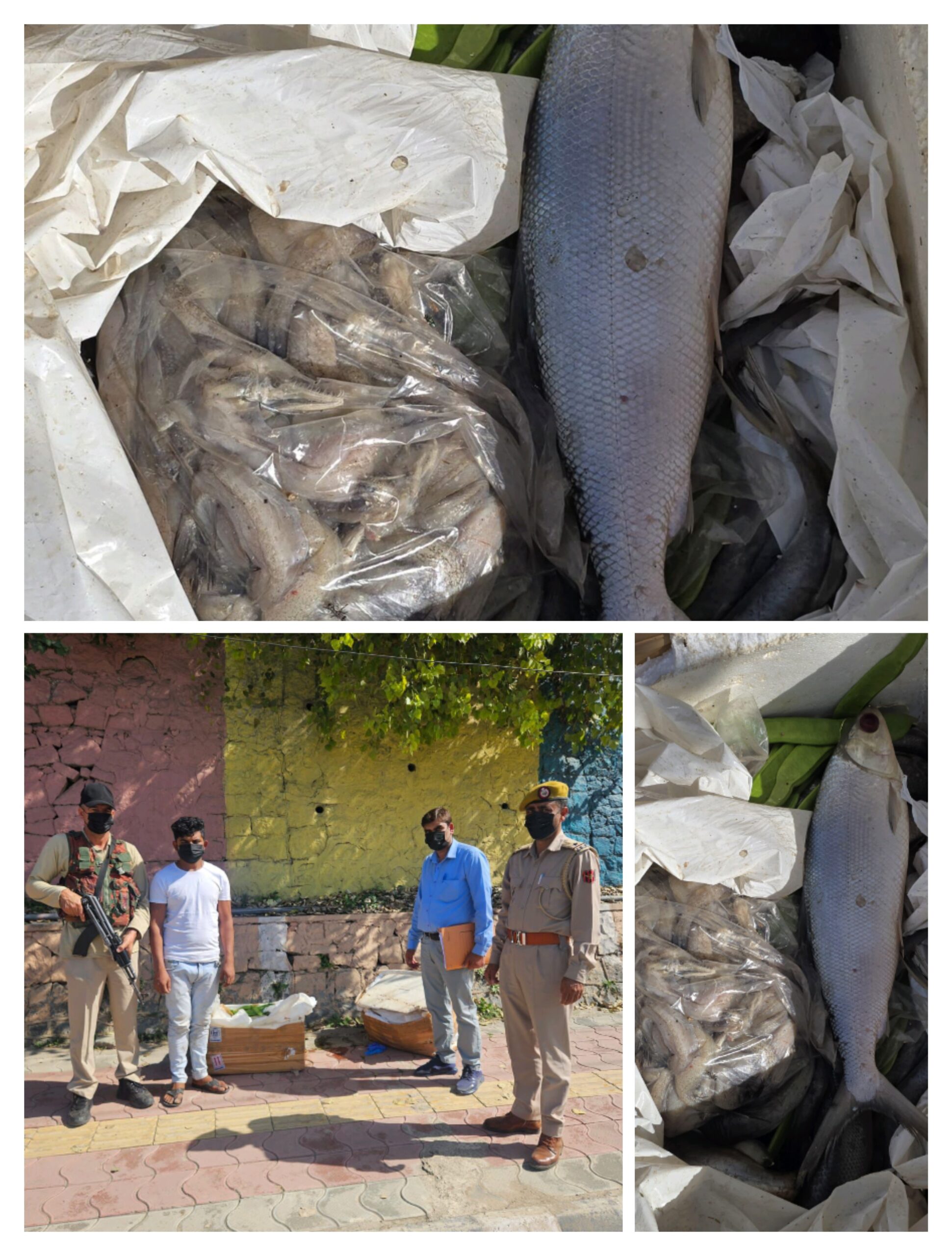 IMG 20250920 183422 scaled