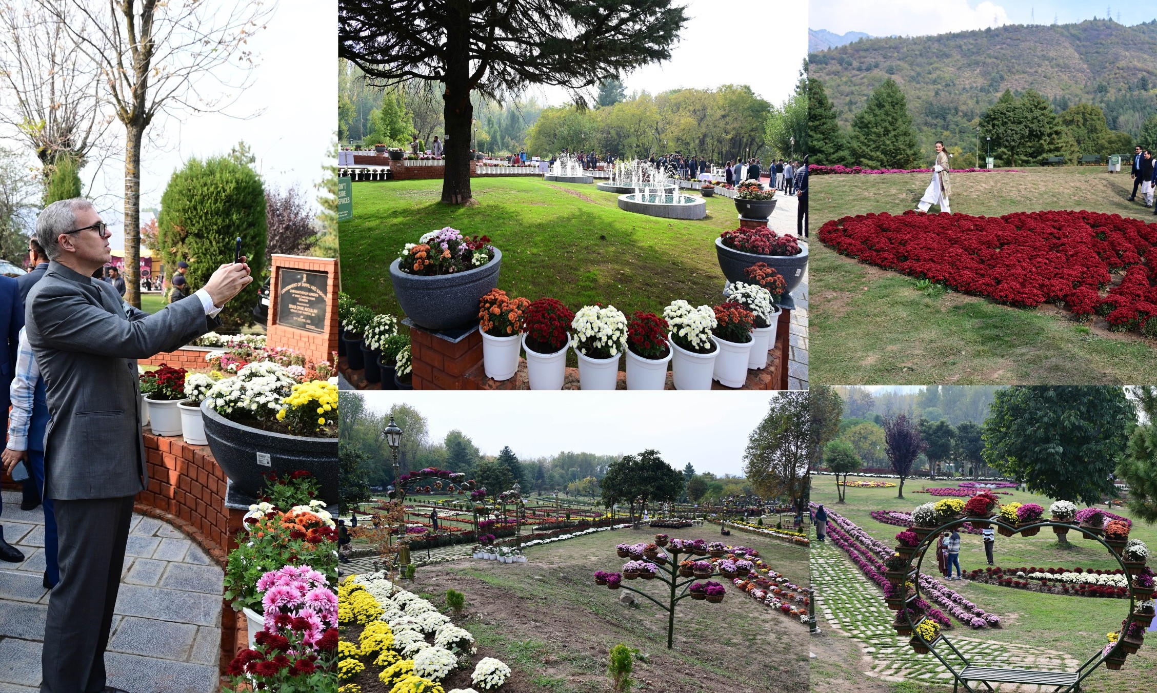 bagh